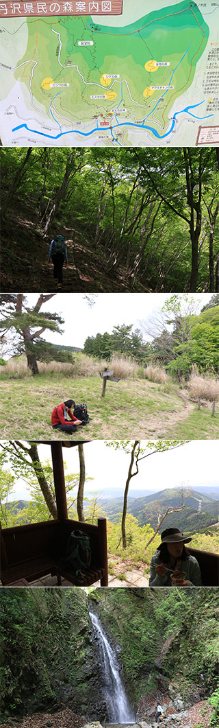 Hiking at Mt. Kunugi