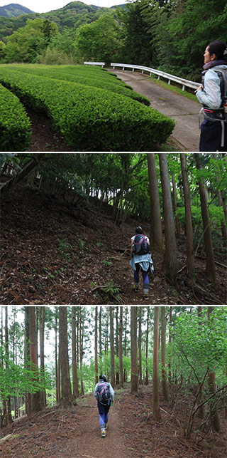 Hiking at Mt. Shidango