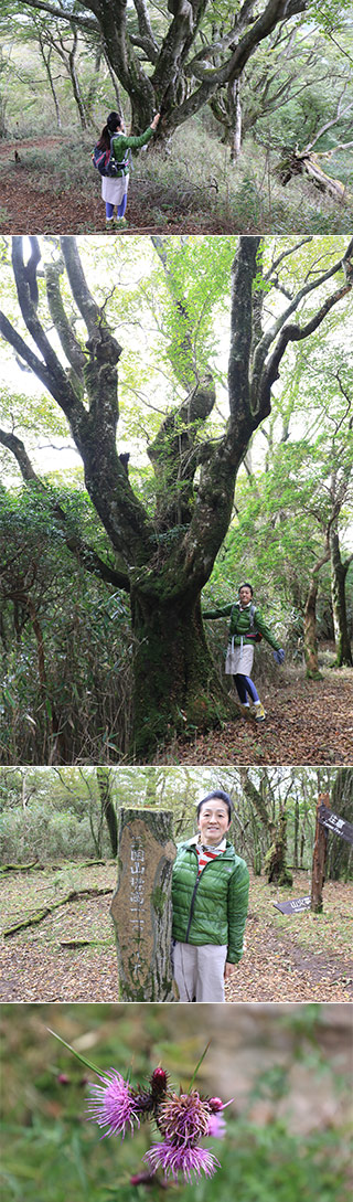 Hakone Mt.Mikuni Hiking