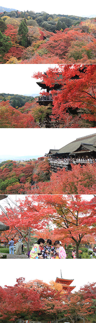 Koyo at Kiyomizudera