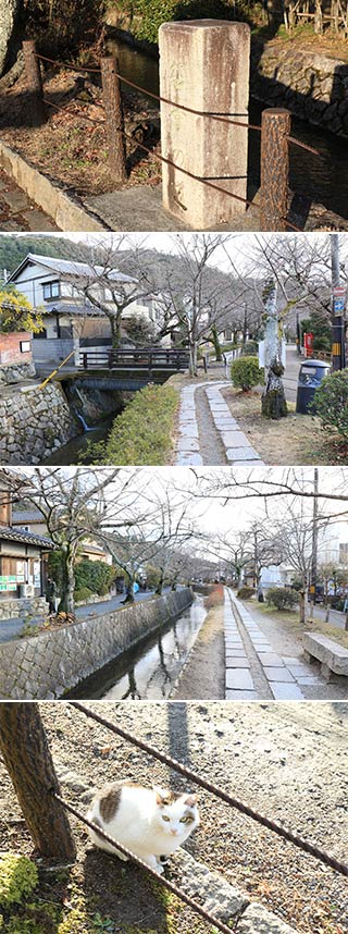哲学の道