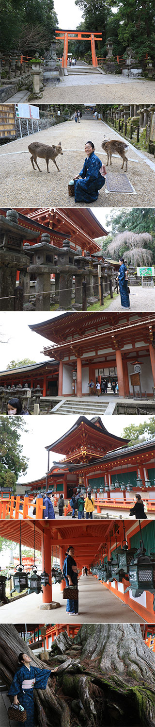 Kasuga Grand Shrine