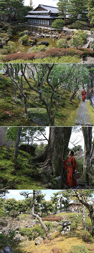 Yoshikien Garden