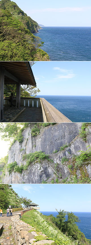 Oyashirazu