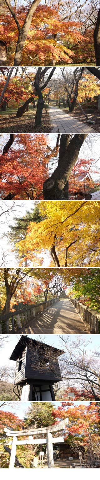 Takato Castle