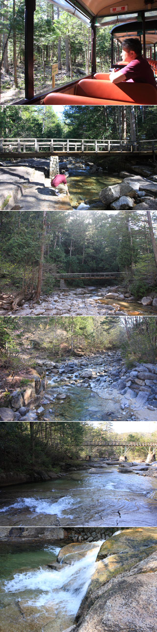 Akazawa Nature Healing Forest