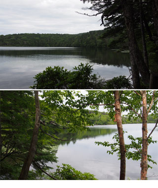 Shirakoma Pond