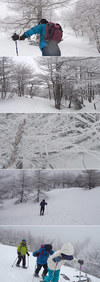 Mt. Takamine