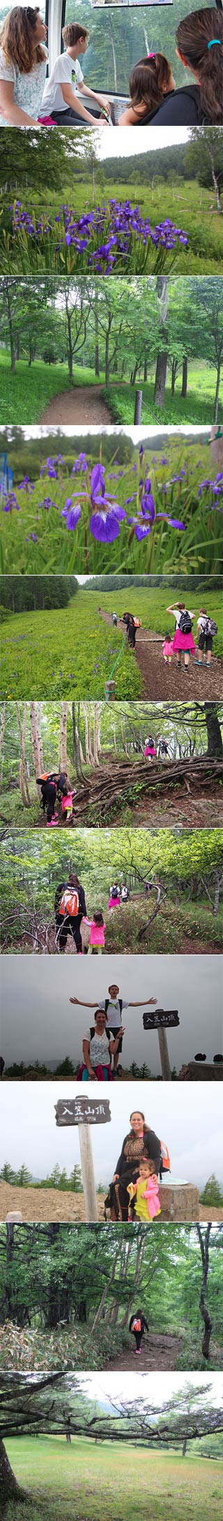 四季の旅・入笠山ツアー