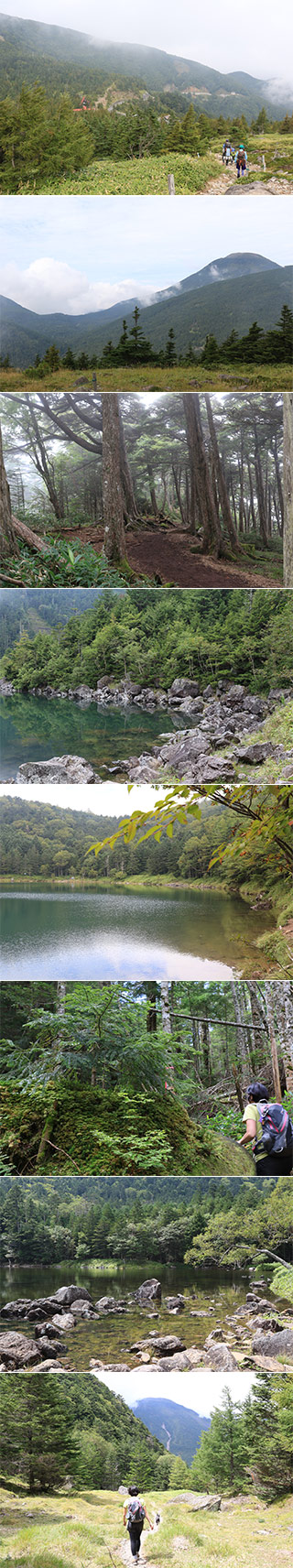 Hiking at Mt. Futago