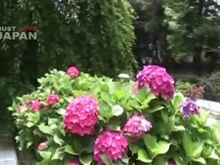 Handayama Park of Plant