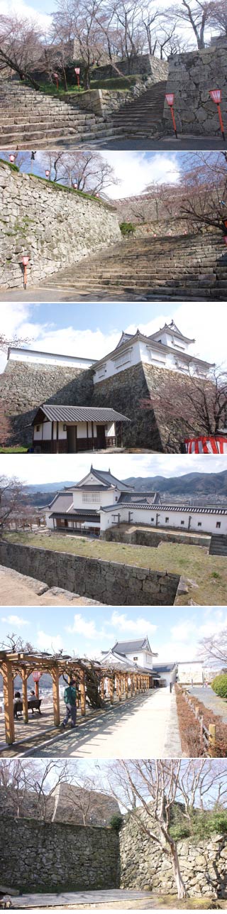 Tsuyama Castle