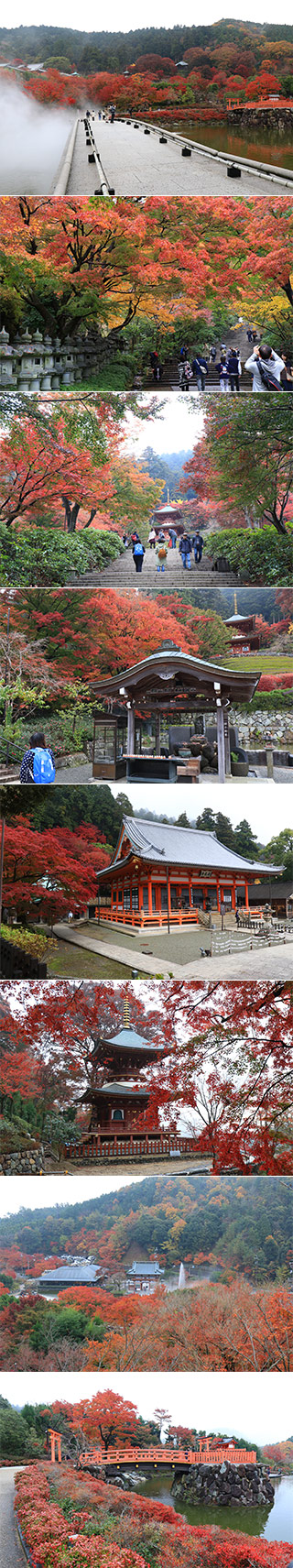 勝尾寺の紅葉