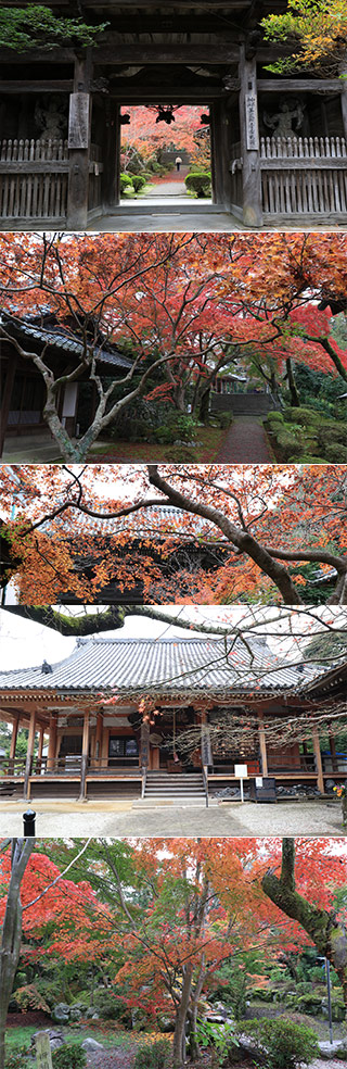 Senshu Matsuo Temple