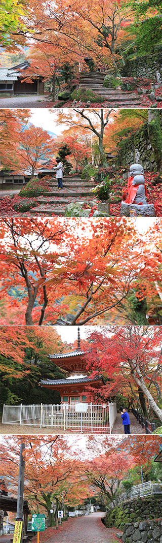 大威徳寺の紅葉