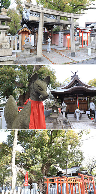 信太森葛葉稲荷神社