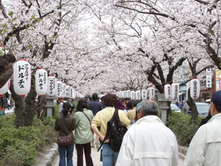 Wakamiya Oji Street