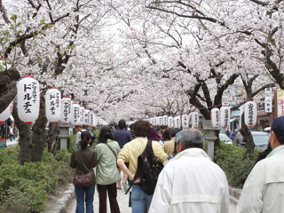 若宮大道