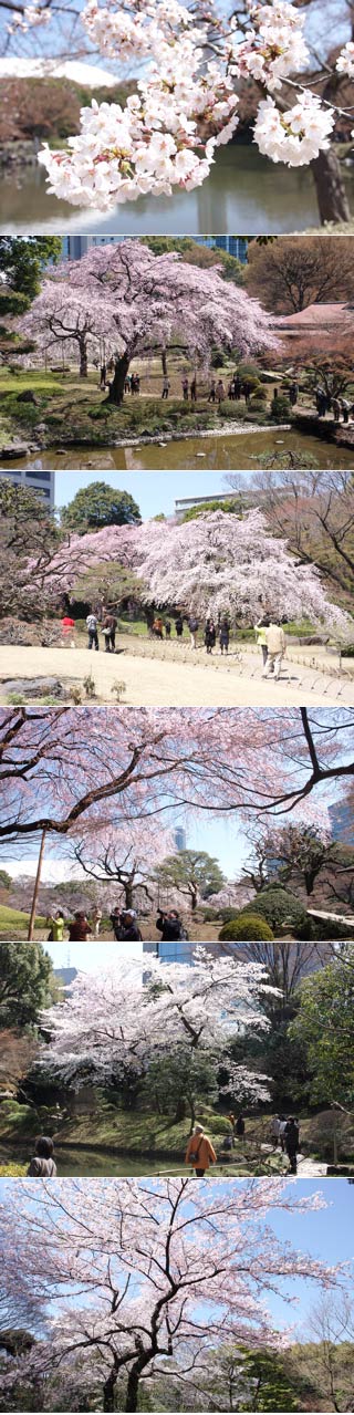 Koishikawa Korakuen