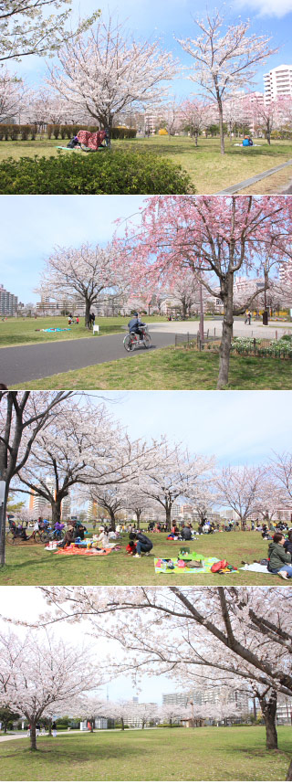 Komatsugawa Park