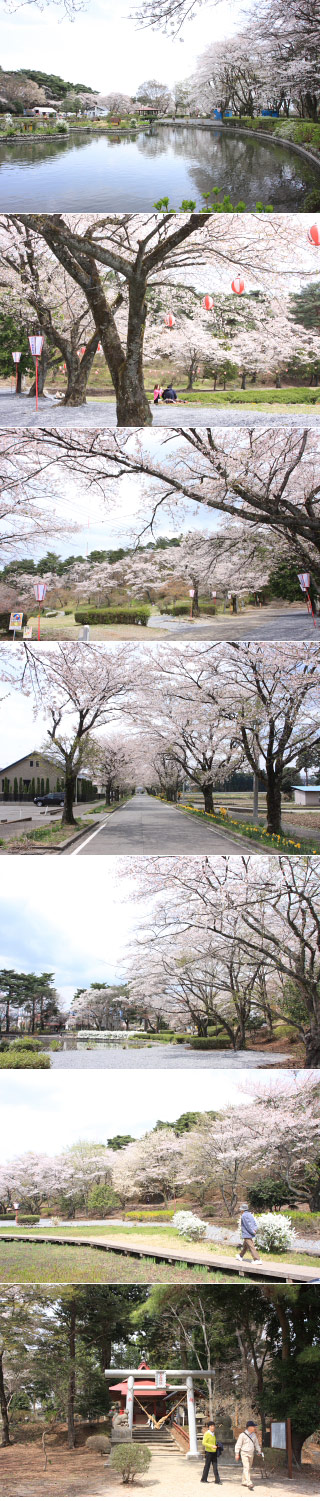 烏ヶ森公園