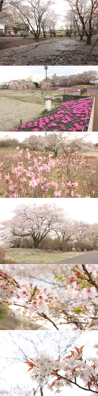Nagamine Park