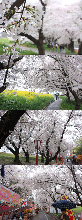 Kumagaya Sakura Bank