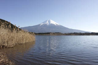 Lake Tanuki