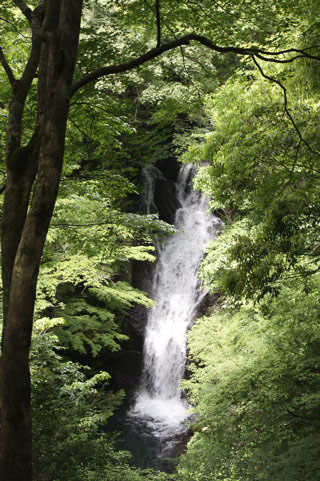 Nikai Fall