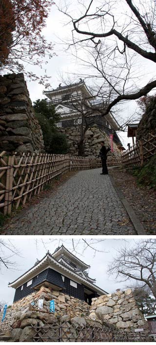 Hamamatsu Castle