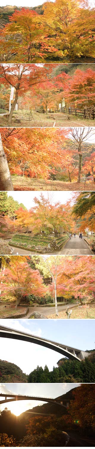 Sudogawa Valley