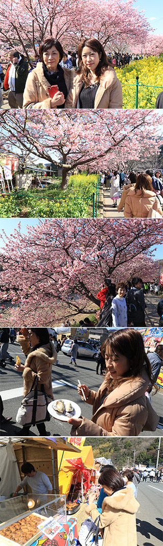 Kawazu Sakura Festival