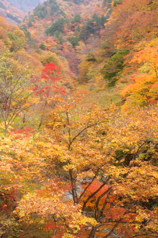 Nakatsu Valley