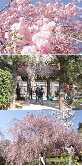 Hozenji Temple