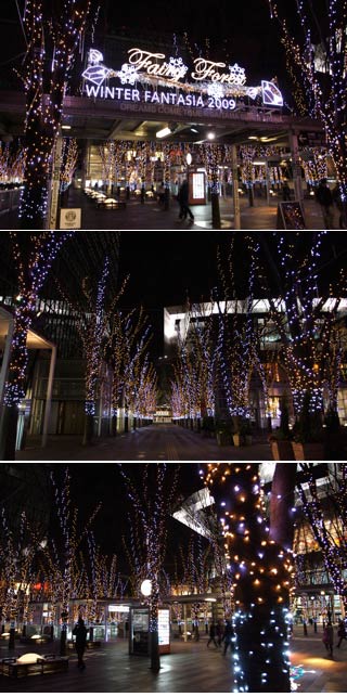 Winter Fantasia at Saitama Arena