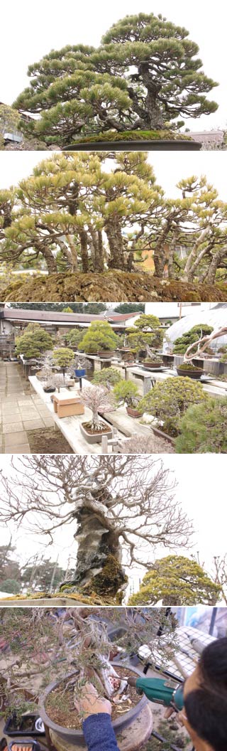 Toju-en Garden