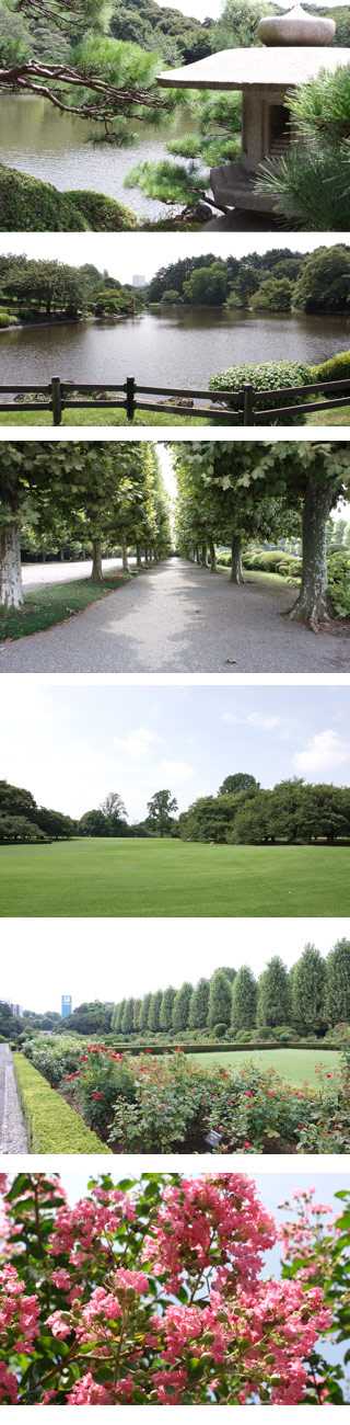 Shinjuku Gyoen National Garden