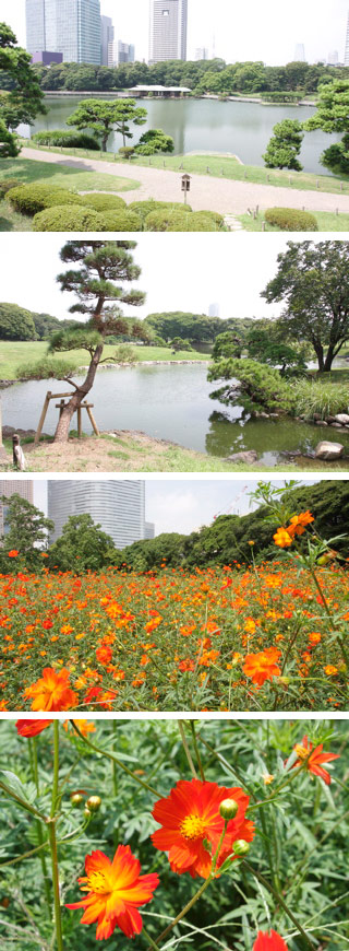 Hamarikyu Garden