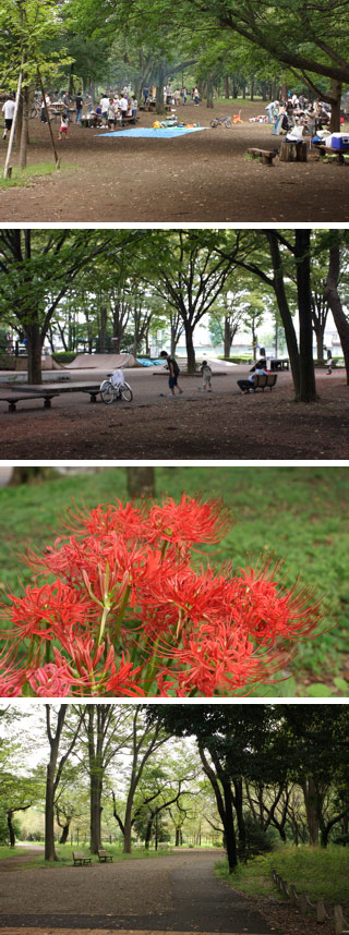 Musashino Park