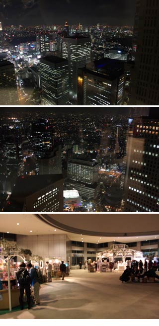 Tokyo Metropolitan Gov. Building