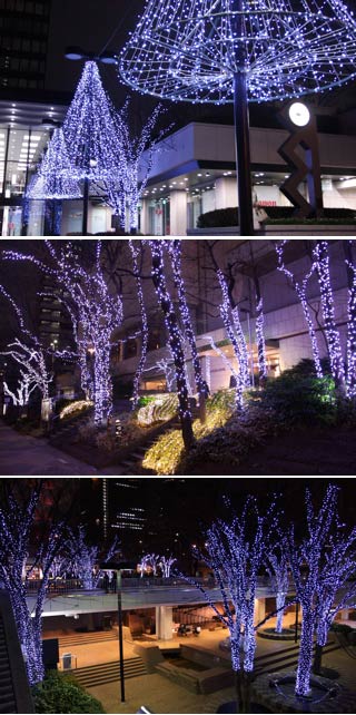 Shinjuku Illuminations 1