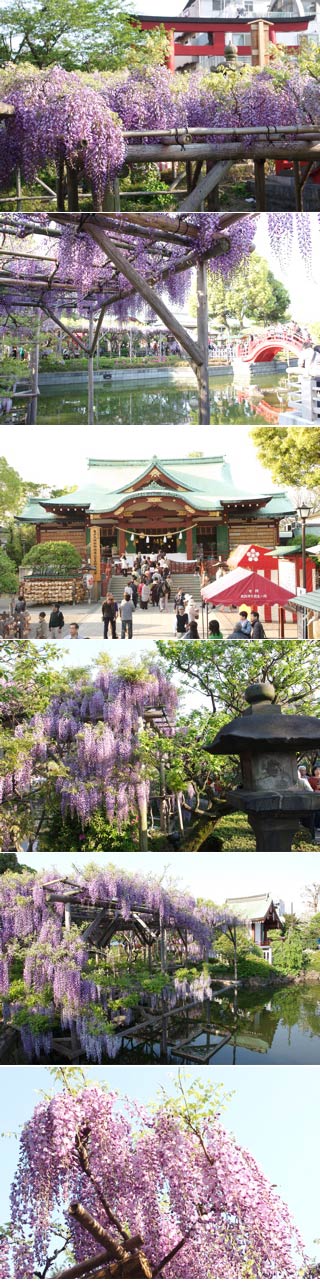 Kameido Tenjin Shrine