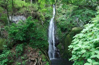 養沢大滝