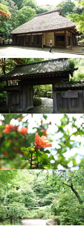 万葉草花園