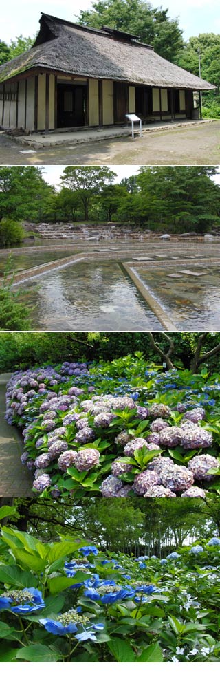 府中郷土の森