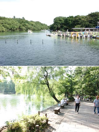 井の頭公園