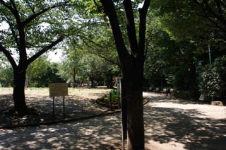 西郷山公園