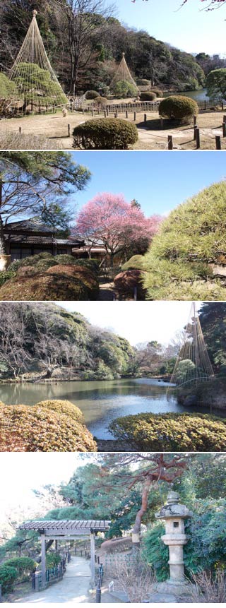 Shin-Edogawa Park