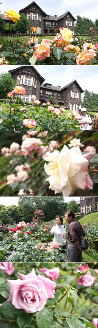 The rose garden of Furukawa