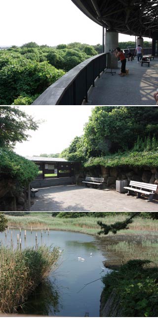 Kasai Seaside park